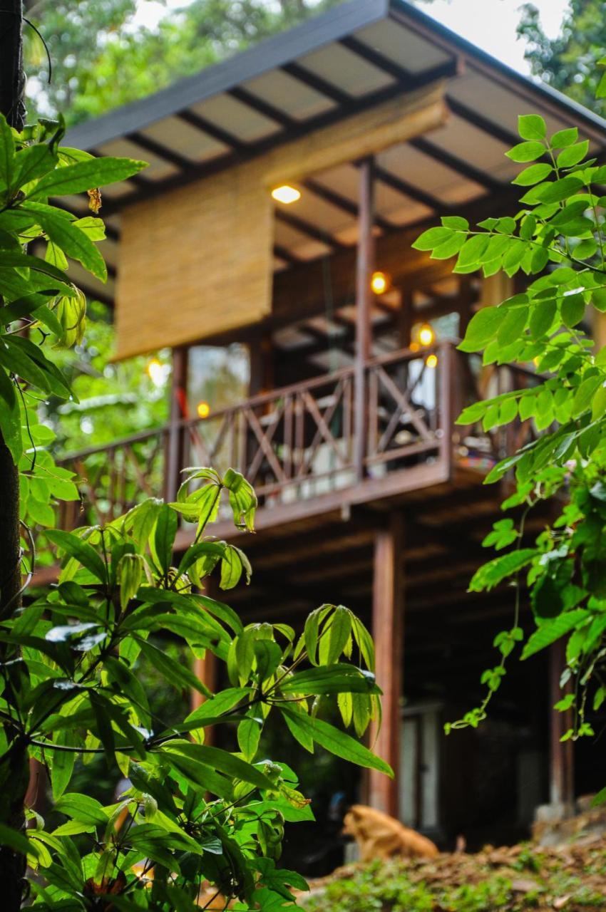 Villa Skygazer Ella Ngoại thất bức ảnh